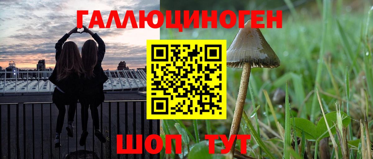 Псилоцибиновые грибы MAGIC MUSHROOMS  Вход с VPN  Отрадное 